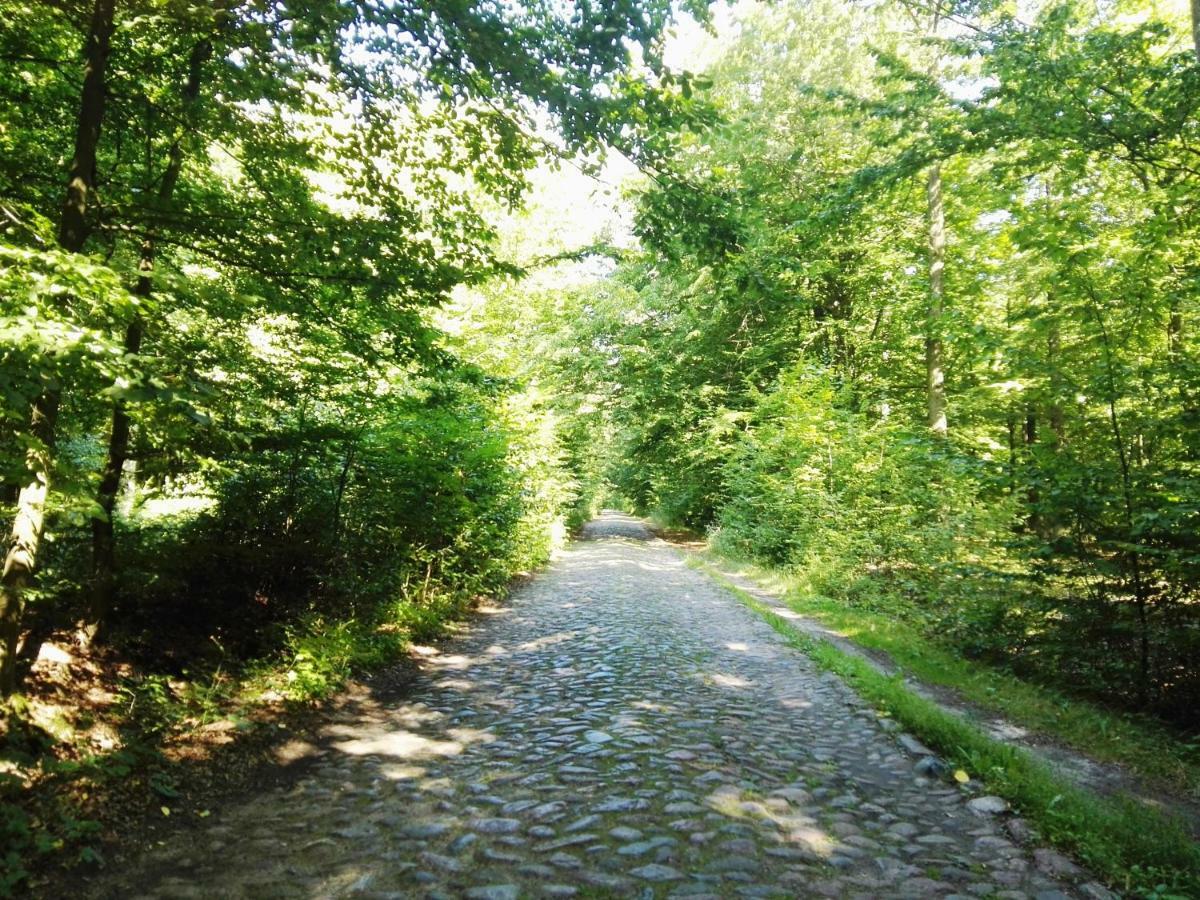 Agroturystyka Ginkgo Sulislaw  Exterior foto